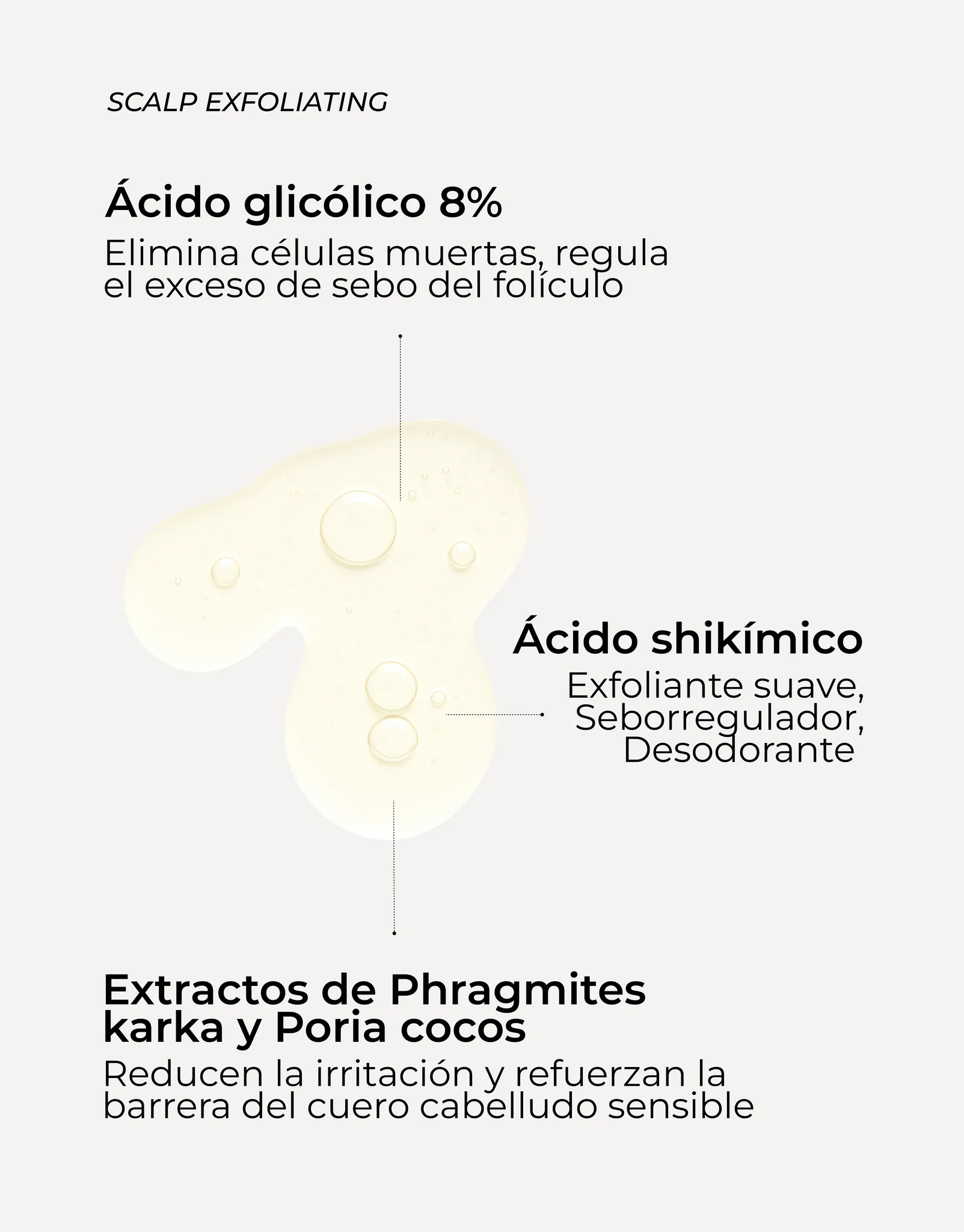 SEGLE RUTINA CAPILAR ANTIAGING Y EXFOLIANTE - Imagen 4