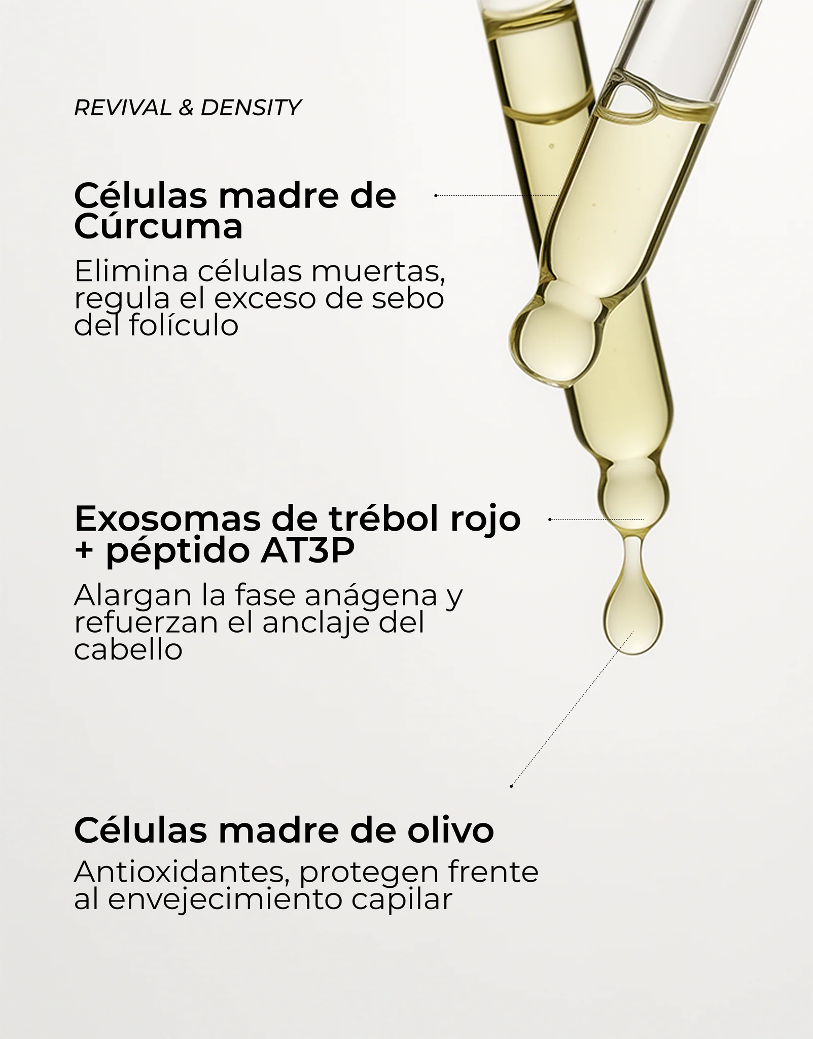 SEGLE RUTINA CAPILAR ANTIAGING Y EXFOLIANTE - Imagen 3